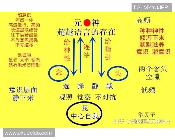 重庆排球队意识对比分析揭示团队协作与个体表现的深层关系